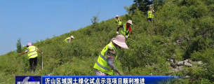 【潍坊新闻联播】沂山区域国土绿化试点示范项目顺利推进