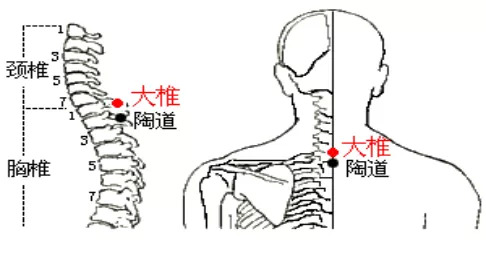 转发视频教学在家强体潍坊市艾灸推拿防控新型冠状病毒建议方案