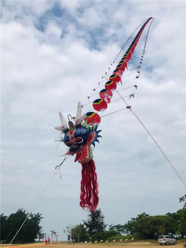 七条百米长潍坊龙头风筝飞舞于中国大陆南极村