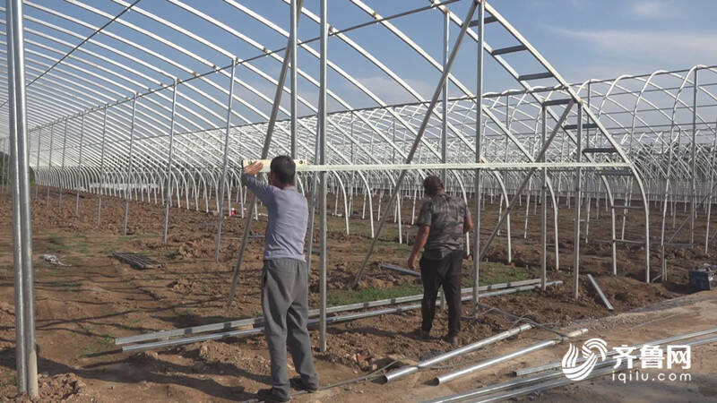 新澳门游戏临朐：新型草莓大棚种出“莓”好“钱”景(图1)